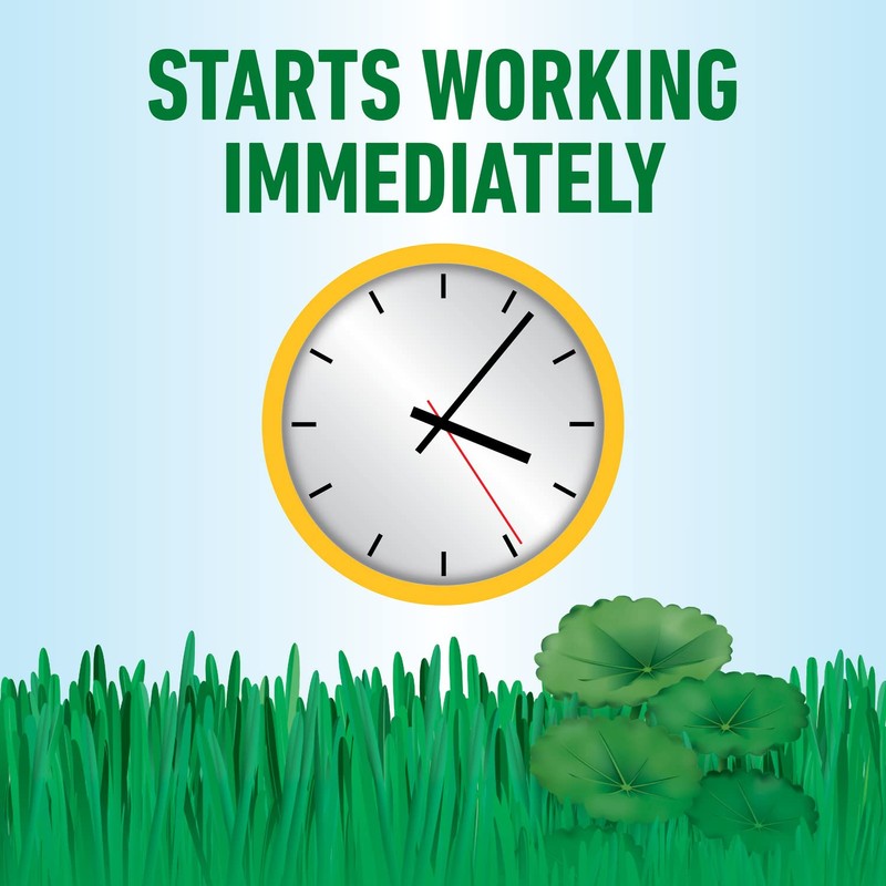 Roundup for Lawns₅ Concentrate for Use on Southern Grasses, Kills