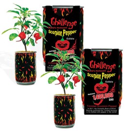 Extra Hot Red Trinidad Scorpion Chili Pepper Growing Kit by Magic Plant – Home Grown Caribbean Heat | DIY All-in-One Heirloom Grow Kit | 1.2M - 1.5M SHU | Indoor or Outdoor Gardeners or Gift (3 Kits)