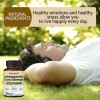 Bunkell Ashwagandha Capsules with BioPerine for Absorption Stress and Mood