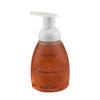 Freyburg Farms Orange Spice Foaming Hand Soap