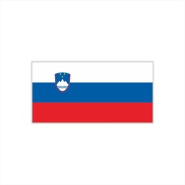 Womaha 30 Sheets Temporary Slovenia Flag Tattoos Fans Face Tattoo Stickers for Adults Kids Group Activity Props