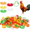 GGUFAY Pack of 100 Poultry Bands, Adjustable Chicken Rings, Plastic