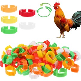 GGUFAY Pack of 100 Poultry Bands, Adjustable Chicken Rings, Plastic Poultry Leg Rings for Chickens, Ducks, Chickens, Doves, Small Animals, 5 Colours, Easy to Distinguish
