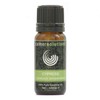 Cypress Essential 100% Pure Aromatherapy Oil 10ml