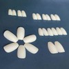 Carufin Pack of 24 White Matte False Nails Sticker Press