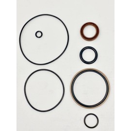 BRP 5008985 Evinrude ETEC Trim Piston Repair Seal Kit 75-115hp ETEC 2006-2020 FSM016