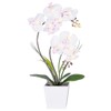 HOMESEASONS Orchid Lamp-LED Lighted Orchid Arrangements,Pre Lit Artificial Orchid,Light Up