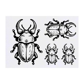 Azeeda 4 x 'Asiatischer Nashornkäfer' Temporäre Tattoos - Wasserfest, Hautfreundlich & Ungiftig · Transfers in Verschiedenen Größen (TO00071370)