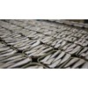 Small Stewed “Xoubas” Galician Sardines | Gold Line | 2