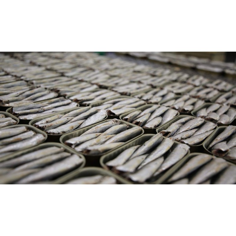 Small Stewed “Xoubas” Galician Sardines | Gold Line | 2