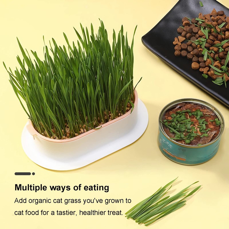 YUMINGUHC Cat Grass Planter (No Seeds Included) Wheatgrass Planting Trays
