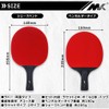 Table Tennis Racket, Beginner, Intermediate, Shake, Carbon Case, Pen, Double-Sided,