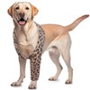 ROZKITCH Dog Surgery Recovery Sleeve Front Right Left Leg, Pet
