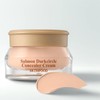 SKINFOOD Salmon Dark Circle Concealer Cream, No. 1 Salmon Blooming,
