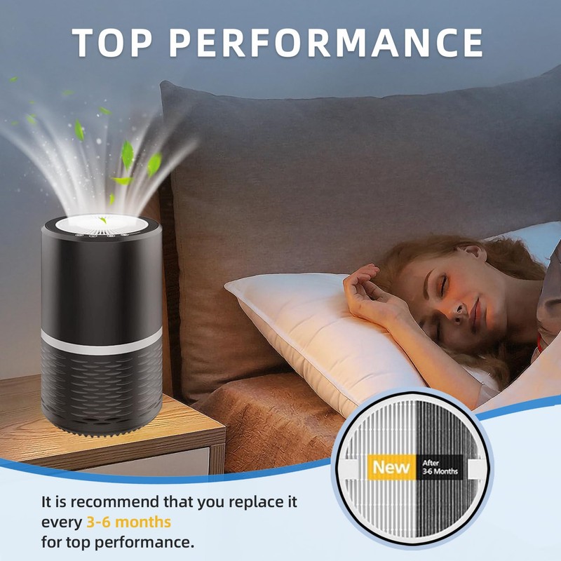 2 pack lv-h132 Replacement Filter Air Purifier Filter Replacement Compatible