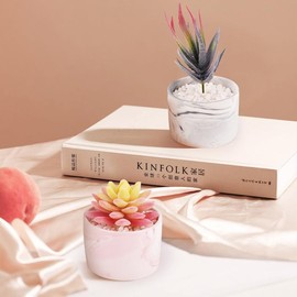 2 Pack Fake Plants Succulents Plants Artificial in Pots for Home Office Desk Decor, Artificial Succulent Plants in Marble Ceramic Pots, Cute Small Gift for Women