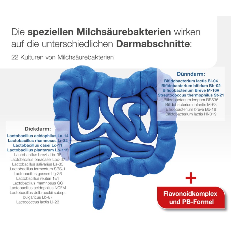 Intestinal Flora Plus Select Complex Dr. Wolz - High Dose