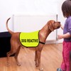 CENWA Reactive Dog Jacket Vest - Reactive Training Slogan Warning