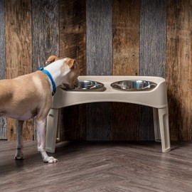 IRIS Large Plastic Elevated Feeder, Almond