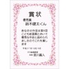 Taka Seal Certificate Paper 10-1701 Cherry Blossom A4 Sheet 10