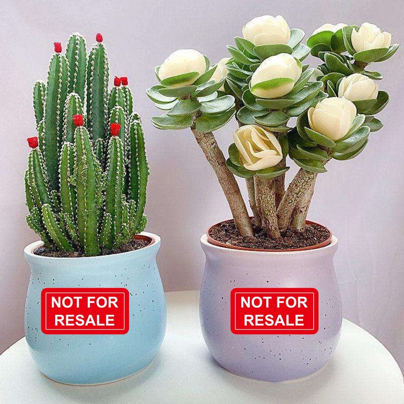 Not for Resale Stickers 1 x 2 Inch Not for