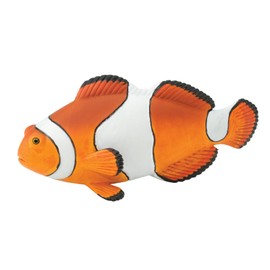 Safari Ltd. Clown Anemonefish Figurine - Detailed 4.75" Plastic Model Figure - Fun Educational Play Toy for Boys, Girls & Kids Ages 18M+