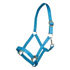 HKM Stars Economy Softice Headcollar Cornflower Blue Shetty