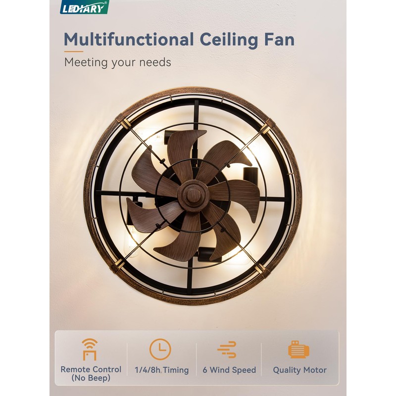 23" Black Gold Caged Low Profile Ceiling Fan with Light