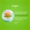 VIZANA NUTRITION | Matcha Orgánica Certificada en Cápsulas Pullulan Orgánicas