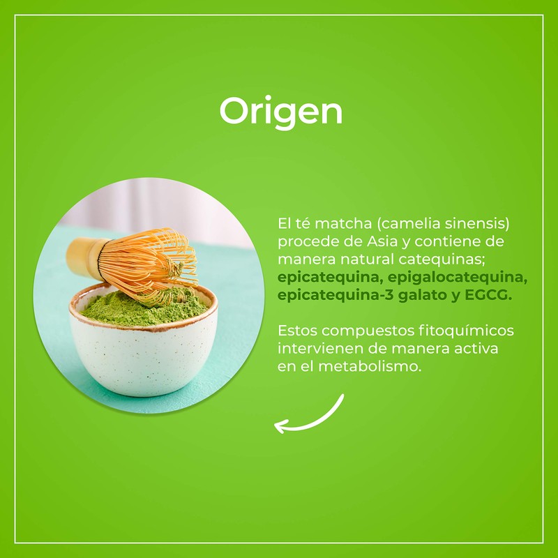 VIZANA NUTRITION | Matcha Orgánica Certificada en Cápsulas Pullulan Orgánicas