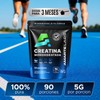AMARTE LABS Creatina monohidratada en polvo alta pureza, 90 porciones,