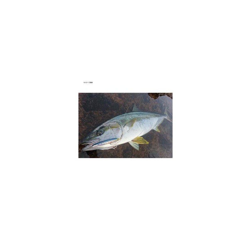 Maria Pencil Bait Relise S130 595-635 5.1 inches (130 mm)