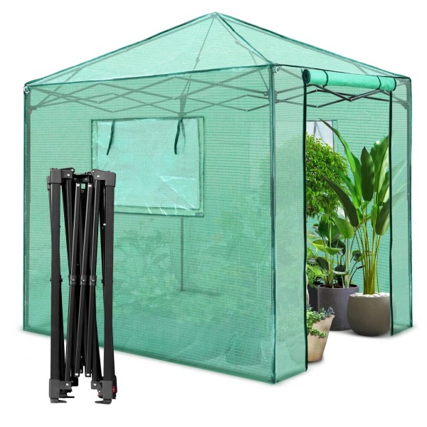 PexFix 8'x 8' Portable Walk-in Greenhouse, Easy Setup, Indoor/Outdoor