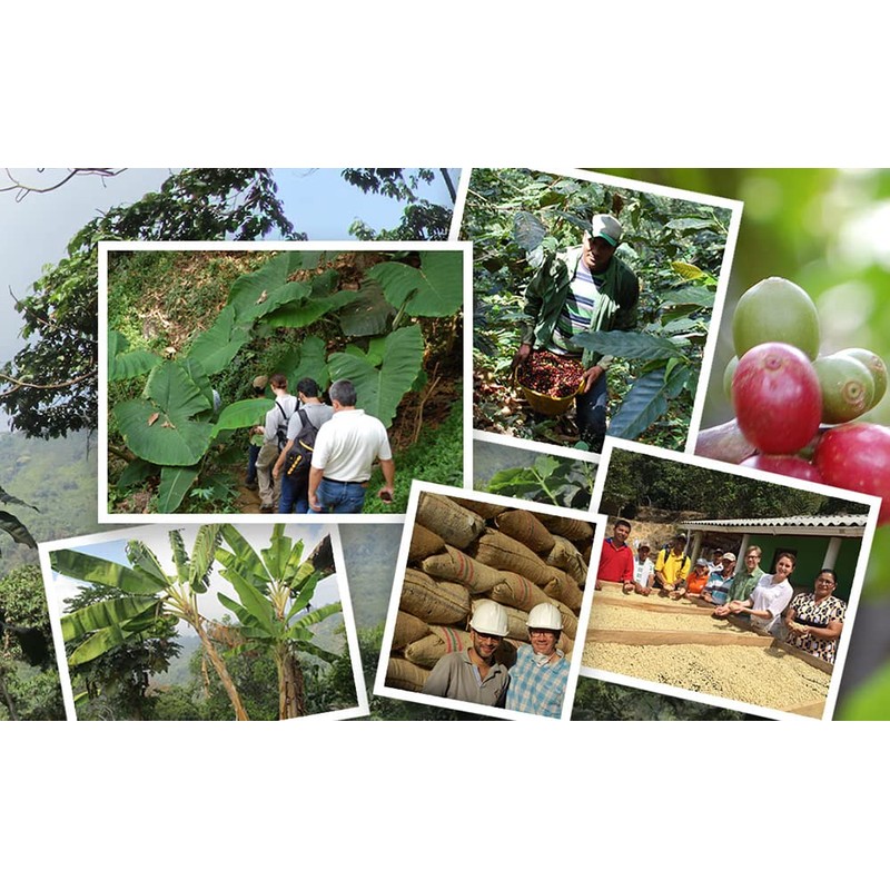 Jim’s Organic Coffee – Colombian – Single Origin, Medium Roast