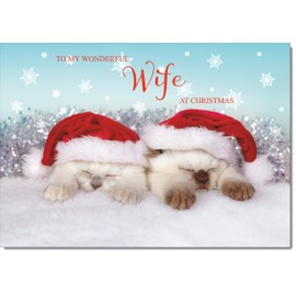 doodlecards Wife Christmas Card Two Cats with Santa Hats Medium Size Christmas Card for Wife with Plain Envelope