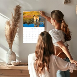 2025 2026 Rhodesian Ridgeback Calendar - Dog Breed Monthly Wall Calendar - 12" x 18" Open - Thick No-Bleed Paper - Giftable - Academic Teacher's Planner Calendar Organizing & Planning