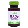 Nad Resveratrol Té Verde 30 Caspulas Vidanat