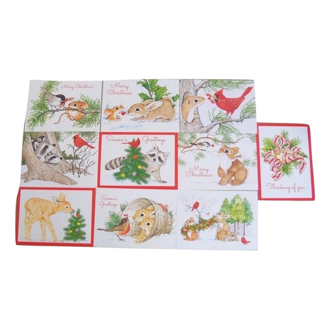 Classic Christmas Card 10 Pack ~ Nature's Holiday Wishes (5" x 7"; White Envelopes)