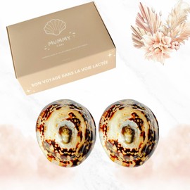 Mummy Care Stillmuscheln aus natürlichem Perlmutt, 2 Stück, zur Vorbeugung von Rissen und Irritationen – natürliche und umweltfreundliche Lösung für Mütter – Größe S (5 – 5,5 cm)