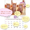 Active Corporation 2026 Calendar Wall-mounted Because It's a Cat, Isn't