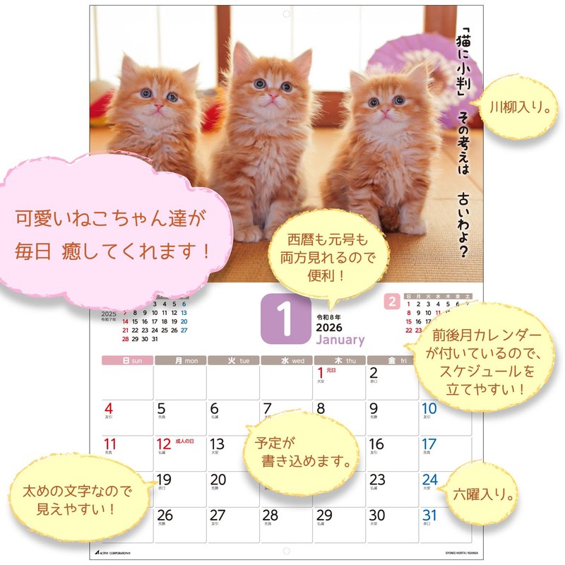 Active Corporation 2026 Calendar Wall-mounted Because It's a Cat, Isn't