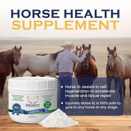 Equinety Equinety XL Supplement for Horses - Essential Amino Acid Formula Horse Supplements Powder - Horse Joint Support, Pituitary Supplement & A Healthy Hoof - Formulated for Cellular Level Repair - 21.2 OZ
