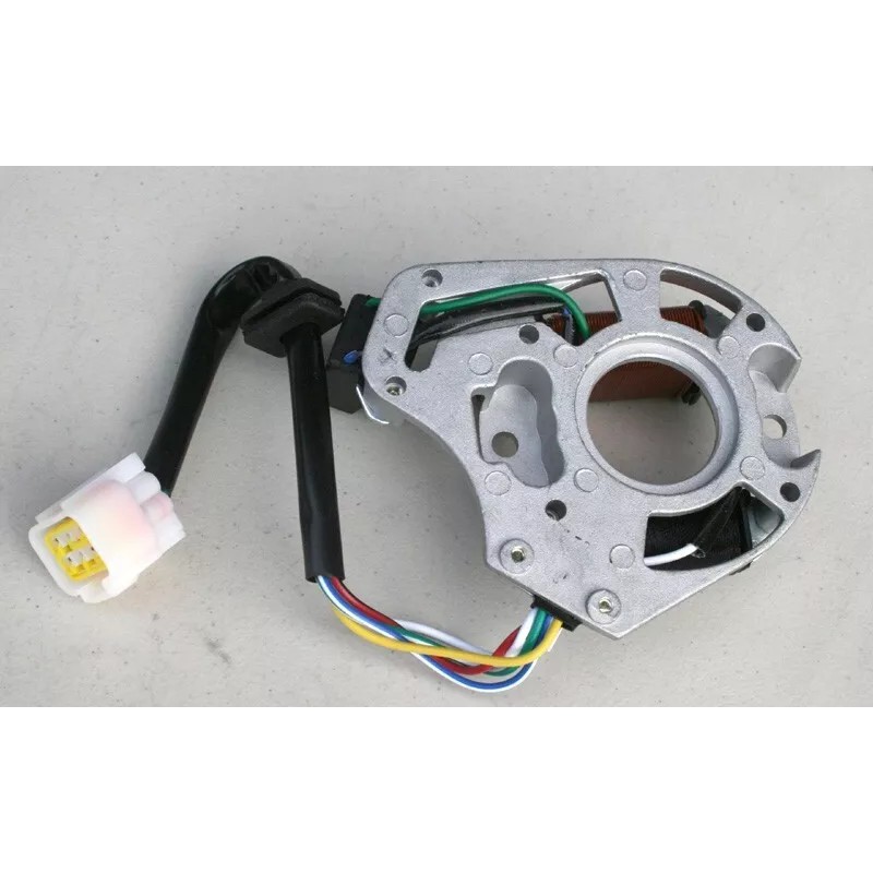 COOLSTER STATOR MAGNETO 2-COIL POLE FOR COOLSTER MAX TRADE 125cc