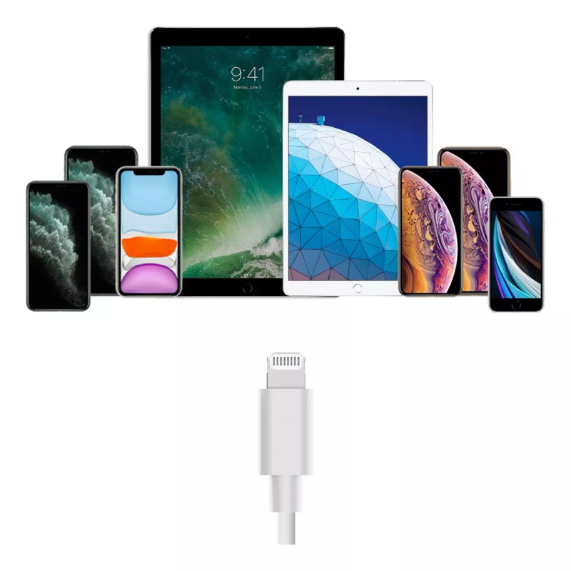 Naztech Cargador De Auto Usb C A Lightning 20w Pd/12w