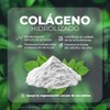 VITO - Colágeno Puro Péptidos Bioactivos - Sin Sabor -