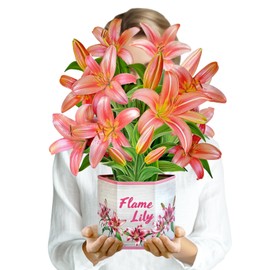 PINELIFE Large Pop Up Cards 16" Lily Paper Flower Bouquets 3D Greeting Cards Gifts for Women Mom Wife Birthday, Anniversary, Get Well Cards with Note Card & Envelope, Flame Lily