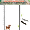 Qualirey 6 Pcs Metal Squirrel Baffle Squirrel Proof Spring for