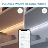 WiZ 6.6FT + 6.5FT RGB Wi-Fi LED Light Strip With