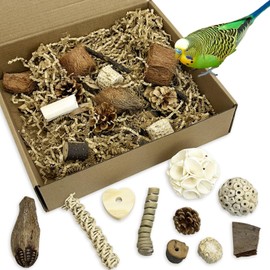 PINVNBY Natural Bird Toys Bird Foraging Box Interactive Parrot Shredding and Chewing Toy for Conure Parakeet Budgie Cockatiel Lovebird Small-Medium Birds (Large)