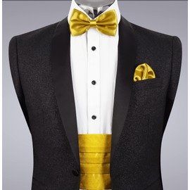 Alizeal Mens Prom Bow Tie, Handkerchief and Cummerbund Set (Solid Golden)
